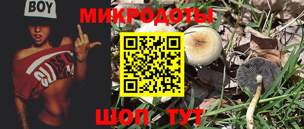 Галлюциногенные грибы GOLDEN TEACHER Лыткарино