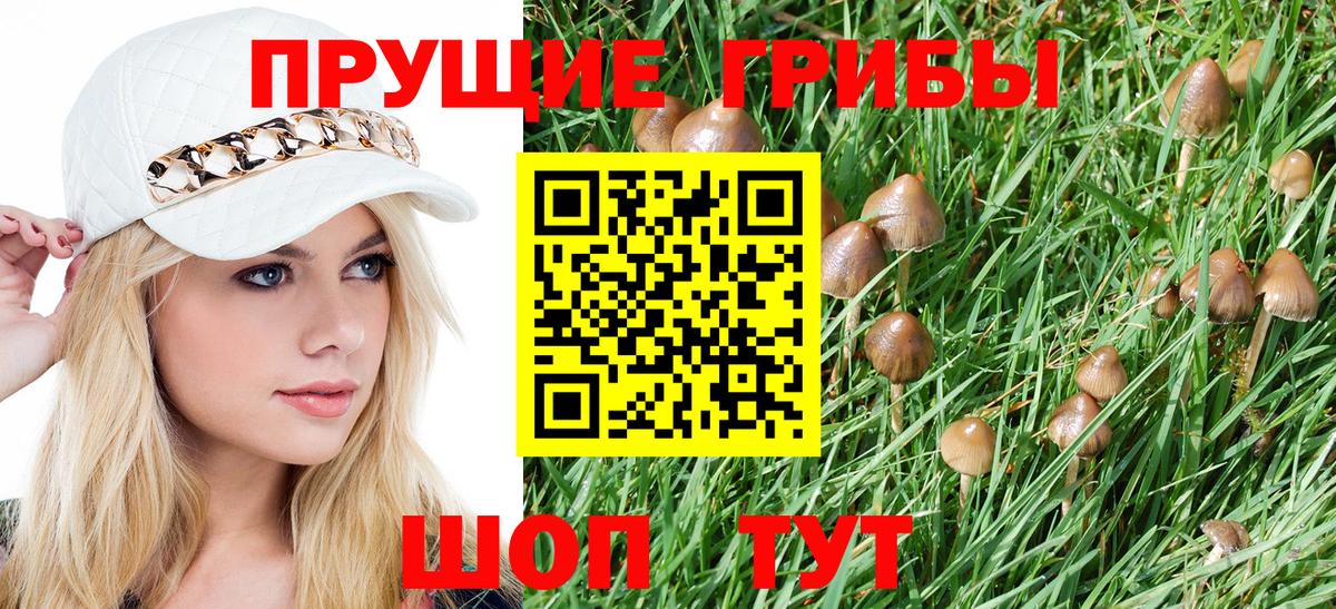 Псилоцибиновые грибы Magic Shrooms  Вход с VPN  Лыткарино 